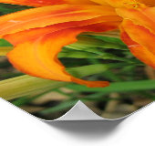 Poster Portefeuille JourLily (Coin)