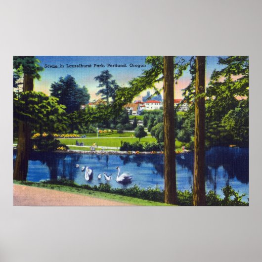Poster Portland, OregonLaurelhurst Park Scene (Devant)