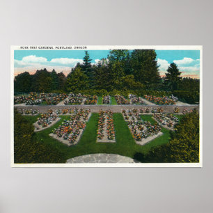 Poster Portland, OregonVue des jardins d'essais Roses