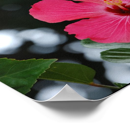 Poster Porto Rico (Coin)