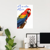 Poster Porto Rico Scarlet Macaw (Bureau à domicile)