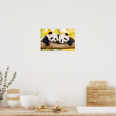 Poster Portrait affectueux de panda sauvage (Cuisine)