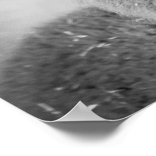 Poster Portrait Alpaca noir et blanc (Coin)