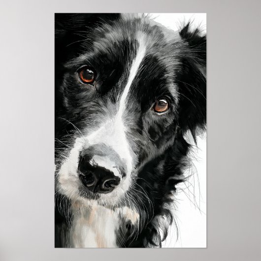 Poster Portrait aquarelle de border collie (Devant)