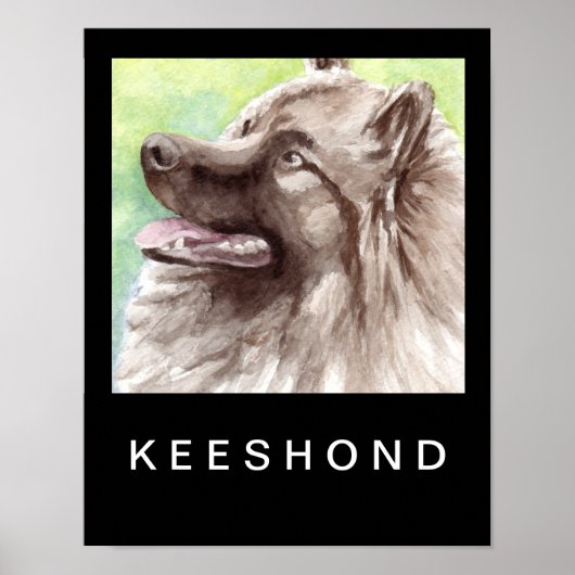 Poster Portrait aquarelle de Keeshond (Devant)