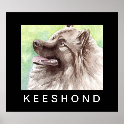Poster Portrait aquarelle de Keeshond (Devant)