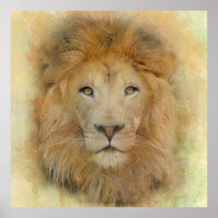 Poster Portrait aquarelle de lion d'Afrique