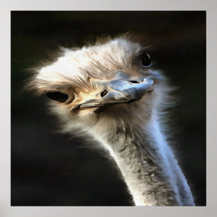 Poster Portrait Artistique Ostrich Avec Expression Goofy