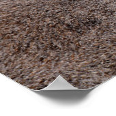 Poster Portrait autocollant carré de carte postale citron (Coin)