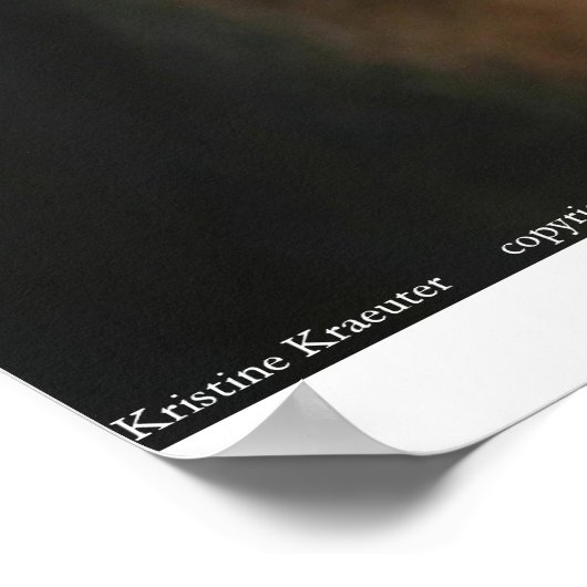 Poster Portrait beagle (Coin)