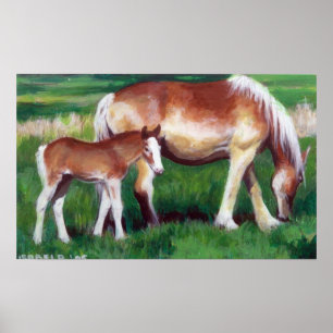 Poster Portrait belge de cheval de jument et de poulain