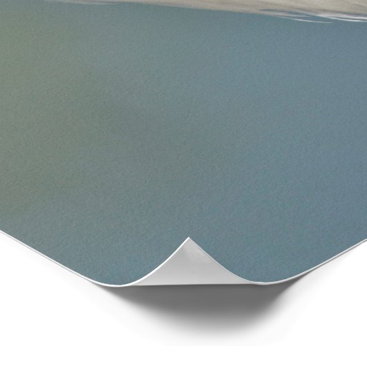 Poster Portrait blanc cigogne le bec ouvert (Coin)