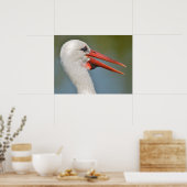 Poster Portrait blanc cigogne le bec ouvert (Cuisine)
