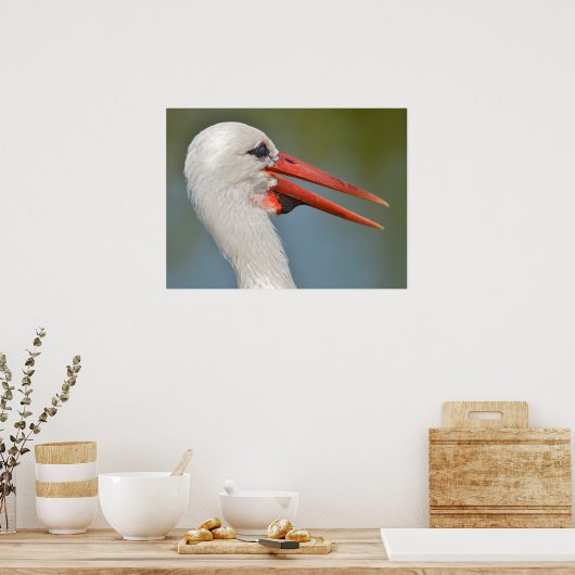 Poster Portrait blanc cigogne le bec ouvert (Cuisine)