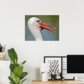 Poster Portrait blanc cigogne le bec ouvert (Bureau à domicile)