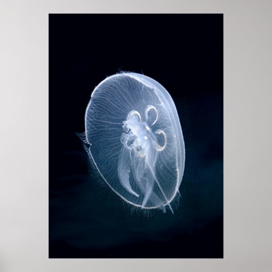 Poster Portrait bleu translucide brillant (Devant)