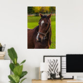 Poster Portrait Brown Horse (Bureau à domicile)