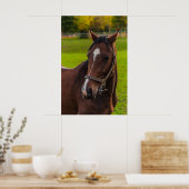 Poster Portrait Brown Horse (Cuisine)