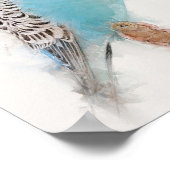 Poster Portrait Budgie bleu (Coin)