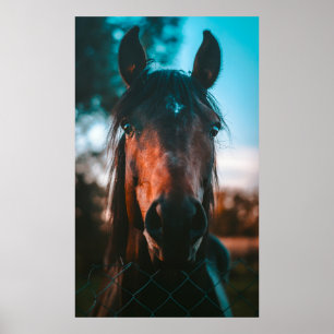 POSTER PORTRAIT CHEVAL