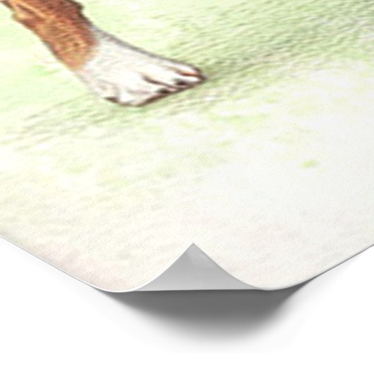 Poster Portrait Chien Boxe Imprimer (Coin)