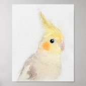 Poster Portrait Cockatiel (Devant)