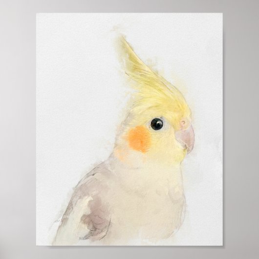 Poster Portrait Cockatiel (Devant)