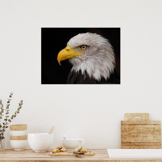 Poster Portrait d'aigle (Cuisine)