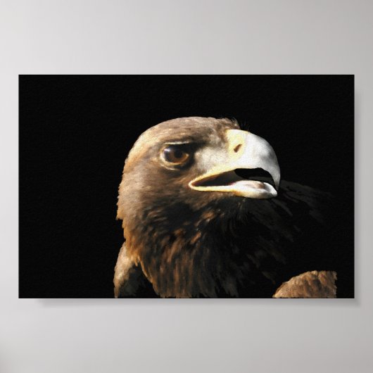 Poster Portrait d'Aigle Royal (Devant)
