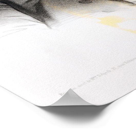 Poster Portrait d'Alexandre Dumas Fils (Coin)