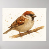 Poster Portrait d'aquarelle Charming House Sparrow (Devant)