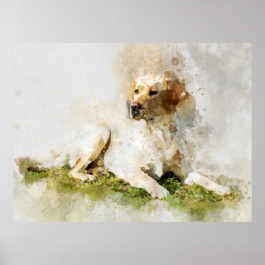 Poster Portrait d'aquarelle de chien de Labrador Retrieve (Devant)
