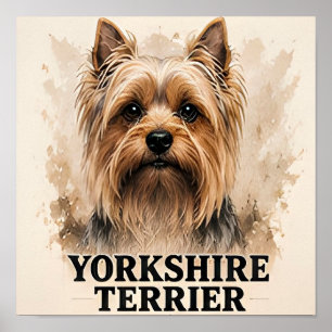 Poster Portrait d'art de Yorkshire Terrier Premium