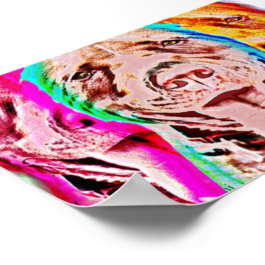 Poster Portrait d'art Pit Bull Pop (Coin)