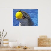 Poster Portrait dauphin avec une boule dans la bouche (Cuisine)