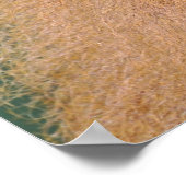 Poster Portrait de babouin (Coin)