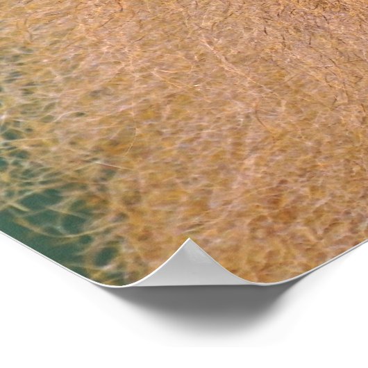 Poster Portrait de babouin (Coin)