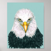 Poster Portrait de Bald Eagle (Devant)