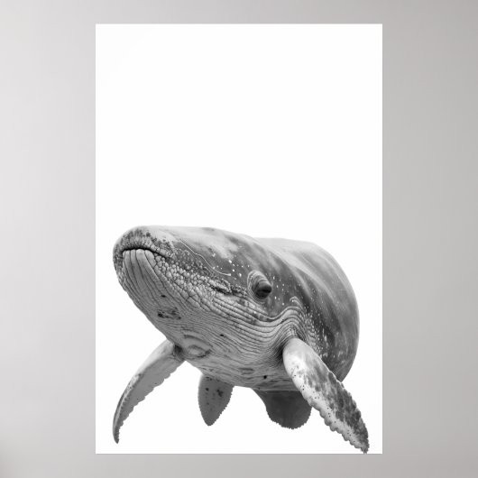 Poster Portrait de baleine moderne noir blanc (Devant)