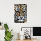 Poster Portrait de bébé Amur Tiger Cub (Bureau à domicile)