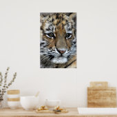 Poster Portrait de bébé Amur Tiger Cub (Cuisine)