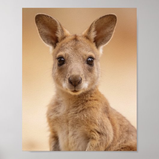 Poster Portrait de bébé kangourou – Mural d'animal de nur (Devant)