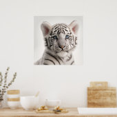 Poster Portrait de bébé Tigre Blanc de Sibérie | 1:1 (Cuisine)