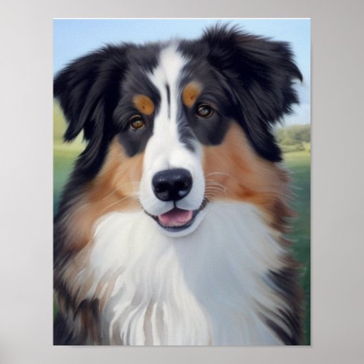 Poster Portrait de Berger Australien  -  (Devant)