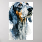 Poster Portrait de bigle bleu coon hound (Devant)