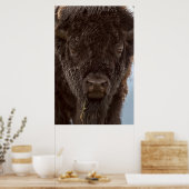 Poster Portrait de Bison Bull (Cuisine)