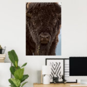 Poster Portrait de Bison Bull (Bureau à domicile)