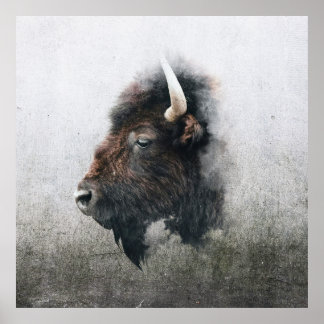 Poster Portrait de bison majestueux