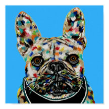 Portrait de Bouledogue Français
