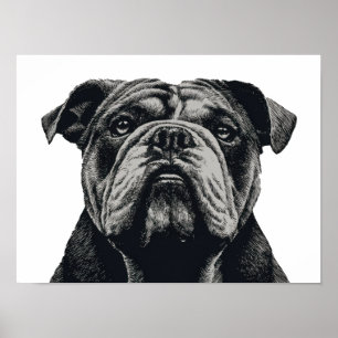 Poster Portrait de Bouledogue – Illustration Vintage de C